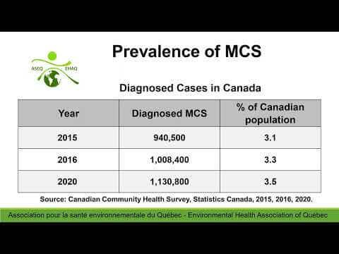 Shotcut Edits Rohini Peris